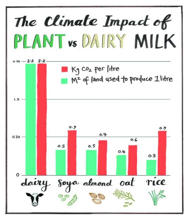 Move over cows plantbased milk is here to stay The Vegan Society